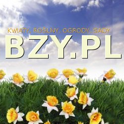 kwiaty, rożliny, bez, bzy, winnice, wino, snowboard, odzież, ubrania , dla myśliwych, outdoor , narty, kasina http://www.migrena.orgSprzedam Zakopane Warszawa randki sporkania kuppię darmowe ogłoszenia